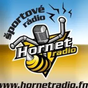 Радіо Hornet