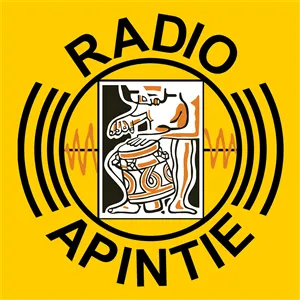 Rádio Apintie Suriname