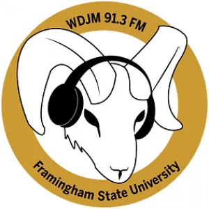 Radio WDJM (FM)