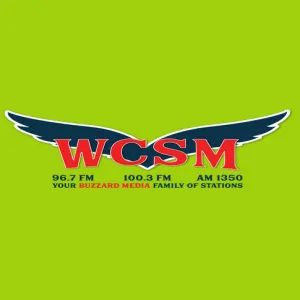 Радио 96.7 The Wave (WCSM)