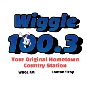 Радіо Wiggle 100 (WHGL)