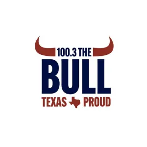 Радио 100.3 The Bull