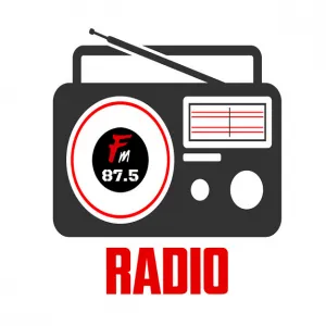 Radio Narshingbari