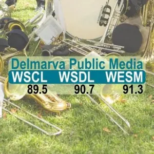 Delmarva Public Радио Fine Arts & Culture (WSCL)
