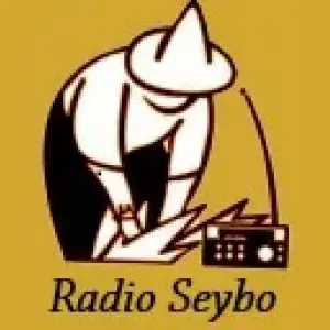 Radio Seibo 1370 AM