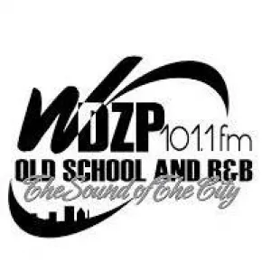 Radio 101.1 FM Community (WDZP)