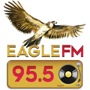 Rádio Eagle 95.5 FM (DWDM)