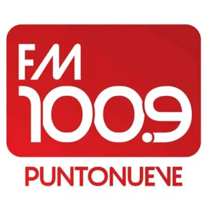 Радио Puntonueve