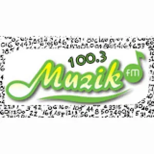 Радіо Muzik100.3