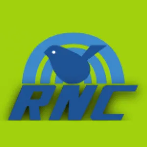 Radio Nichelino Comunità (RNC)
